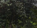 Tn DSC 3957